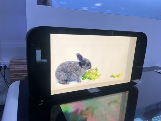 Indoor 3D Transparent LCD Screen