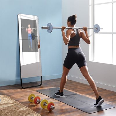 Portable Smart Magic Mirror Digital Signage Display Kiosk 3d Virtual